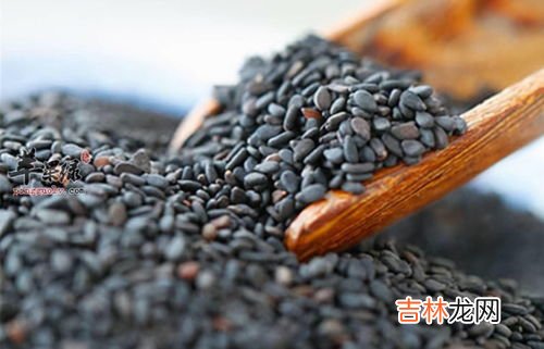芝麻是怎么长出来的,芝麻是怎么长出来的