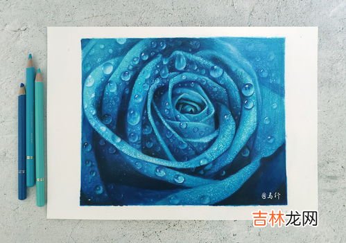 蓝色玫瑰叫啥,淡蓝色玫瑰花叫什么