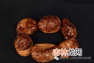 崖柏的功效与禁忌,崖柏茶的功效与作用,崖柏怎么泡水喝