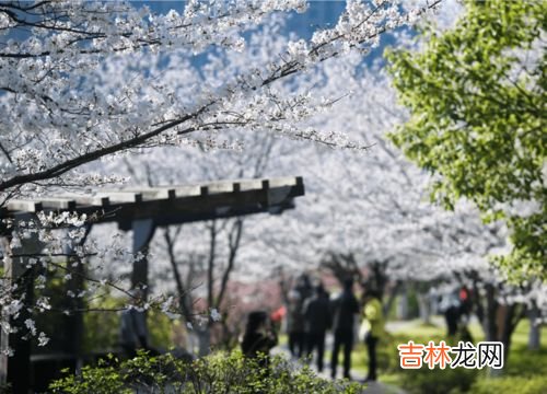 陕西立春的民间风俗,立春都有什么风俗