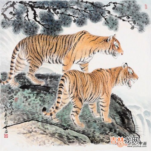虎的象征意义是什么,虎的寓意和象征