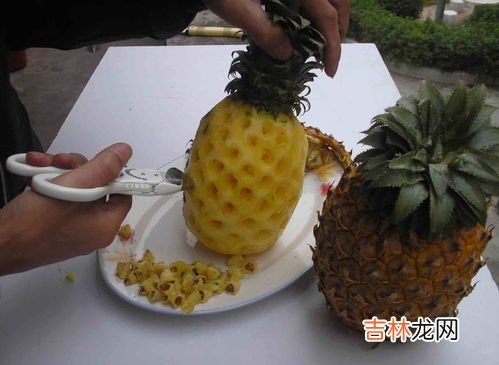 菠萝可以直接吃吗,菠萝可以直接吃吗?