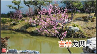 烟花三月下扬州全诗,烟花三月下扬州全诗是什么？