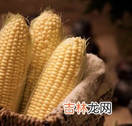 膳食纤维素片有什么功效,膳食纤维有什么好处与功效?