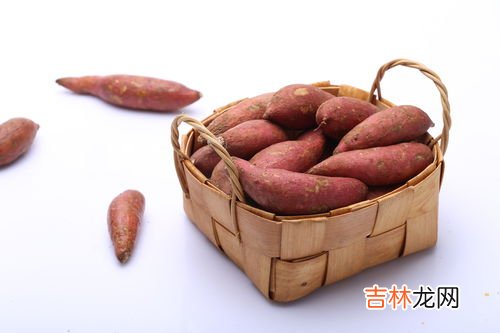 血热可以吃红薯吗,血热应该吃哪些食物