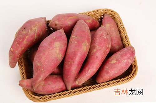 血热可以吃红薯吗,血热应该吃哪些食物