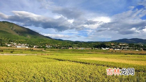 如何查询永久基本农田,土地调查的内容是什么?