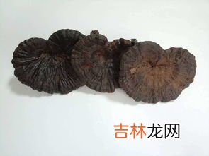 灵芝百合的功效与作用,灵芝可与百合和玉竹一起煲汤吗