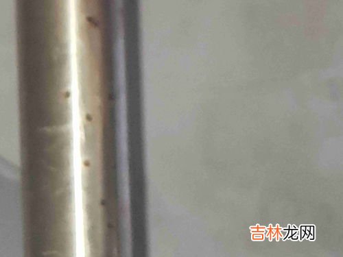 锡是金属吗为什么,锡是不是金属