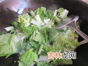 小白菜是凉性还是热性,白菜属于热性还是凉性食物?
