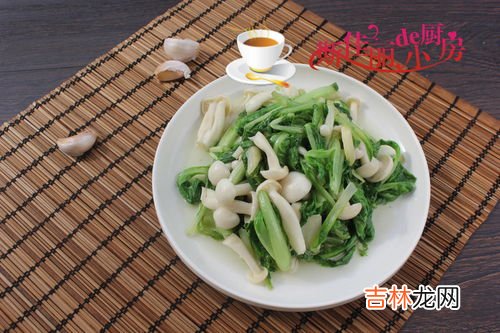 小白菜是凉性还是热性,白菜属于热性还是凉性食物?