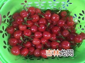 水晶樱桃和普通樱桃的区别是什么,樱桃水晶和黄蜜的区别