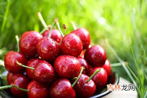 水晶樱桃和普通樱桃的区别是什么,樱桃水晶和黄蜜的区别
