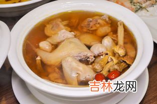 怎么炖鸽子补血补气,鸽子汤的做法补气补血