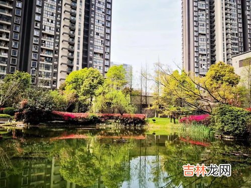 郑州凤凰城属于哪个区,郑州市碧桂园凤凰城停工了吗?