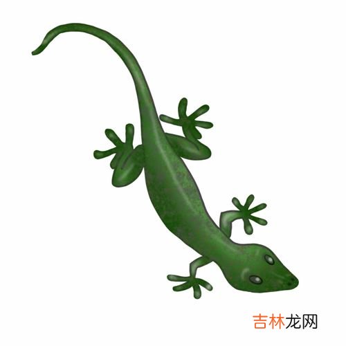 壁虎的尾巴主要有什么作用,壁虎尾巴有什么作用?