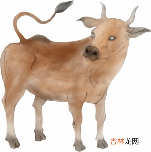 牛的寓意和象征是什么,牛的精神象征意义是什么？
