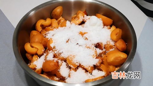 杏干的功效和作用,杏干的功效与作用有哪些