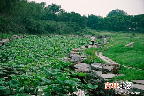 圆明园的面积有多大,圆明园面积是什么?