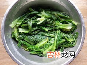 油麦菜的7种家常做法,油麦菜做法大全窍门