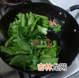 油麦菜的7种家常做法,油麦菜做法大全窍门