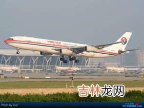 机场可以托运宠物吗,机场宠物托运流程