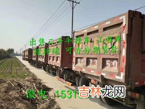 机场可以托运宠物吗,机场宠物托运流程