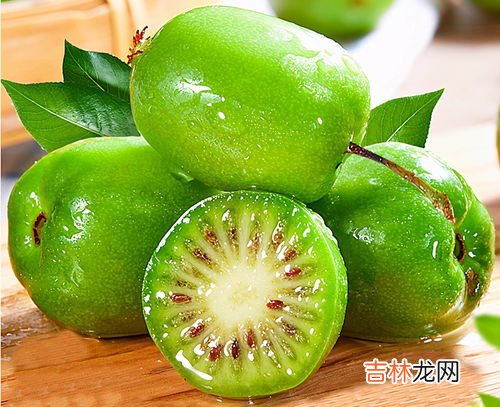 杨桃根与猕猴桃相似吗,杨桃树的根有什么作用？