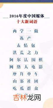 四叶草在网络用语中是什么意思,四叶草的含义是什么?