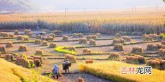 关东山在哪里,关东山干饭盆是指哪里