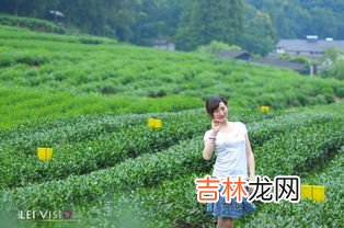 酒泉名字的来历,酒泉地名的由来？