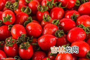 番茄是水果还是蔬菜,番茄是蔬菜还是水果？