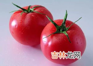 番茄是水果还是蔬菜,番茄是蔬菜还是水果？