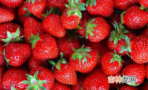 草莓营养,草莓的功效与营养价值