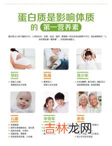 禾博士蛋白质粉怎么样,禾博士蛋白质粉怎么样