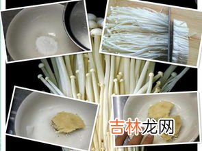 金针菇发芽能吃吗,金针菇发芽能吃吗？