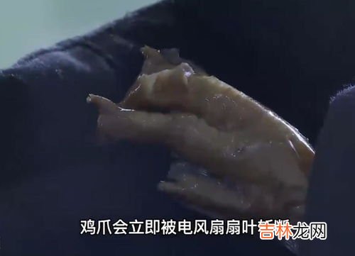 腊肉可以用电风扇吹干吗,晾晒的腊肉可以用电暖炉烤干麽？