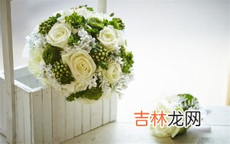11支香槟玫瑰代表什么意思,十一朵香槟玫瑰的花语是什么?