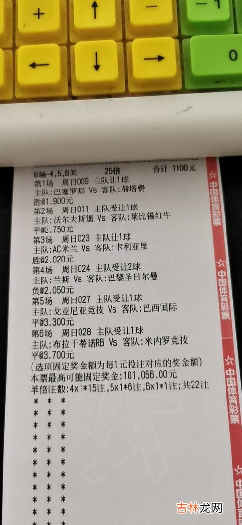 一二三四残疾标准,一二三四残疾标准