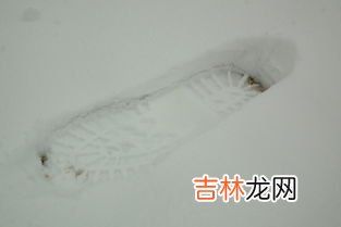 雪的主要成分是什么,雪的成分主要是什么