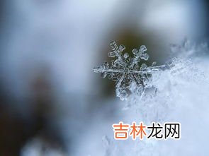 雪的主要成分是什么,雪的成分主要是什么