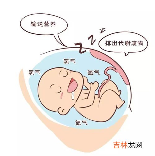 胎盘胶囊什么时候吃最好,胎盘胶囊一天吃几粒