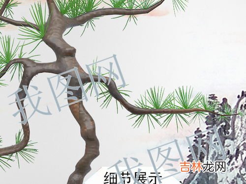 松树花的功效与作用及食用方法,松花粉的功效与作用及食用方法