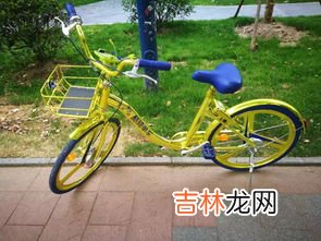 共享单车几岁可以骑,未满12周岁不能骑共享单车的原因是什么