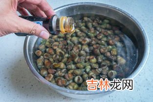 螺蛳怎么剪尾巴妙招,田螺尾巴怎么剪田螺为什么要剪尾