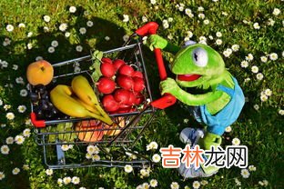 维生素d2的作用,维生素d2的作用及功能 维生素d2有什么作用功能
