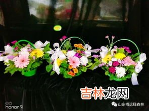 祭祀花束一般是几只花,清明祭祖要几朵花