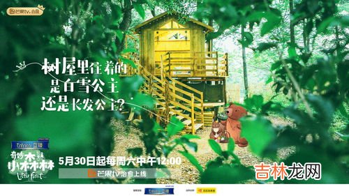 元气森林是日本的吗,元气森林是哪个公司旗下品牌