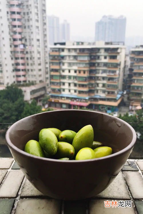 油柑指的是什么水果,油柑是什么
