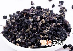 黑枸杞原浆有什么功效,黑枸杞的功效与作用